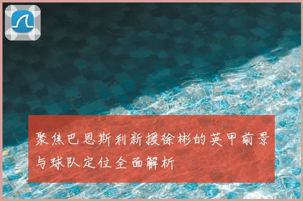 聚焦巴恩斯利新援徐彬的英甲前景与球队定位全面解析